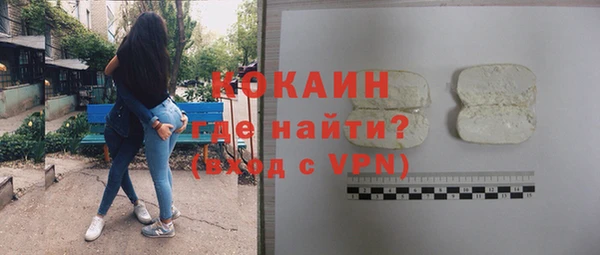 ешки Новодвинск