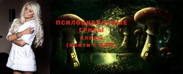 первитин Абинск
