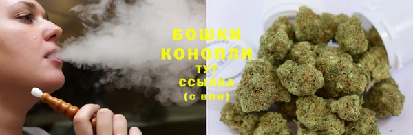 прущие грибы Новокубанск