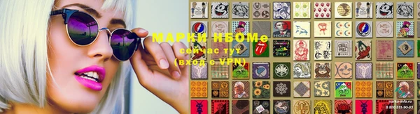 гидра Новозыбков